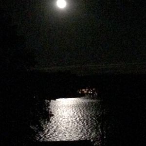 Meet your Posher, Deborah